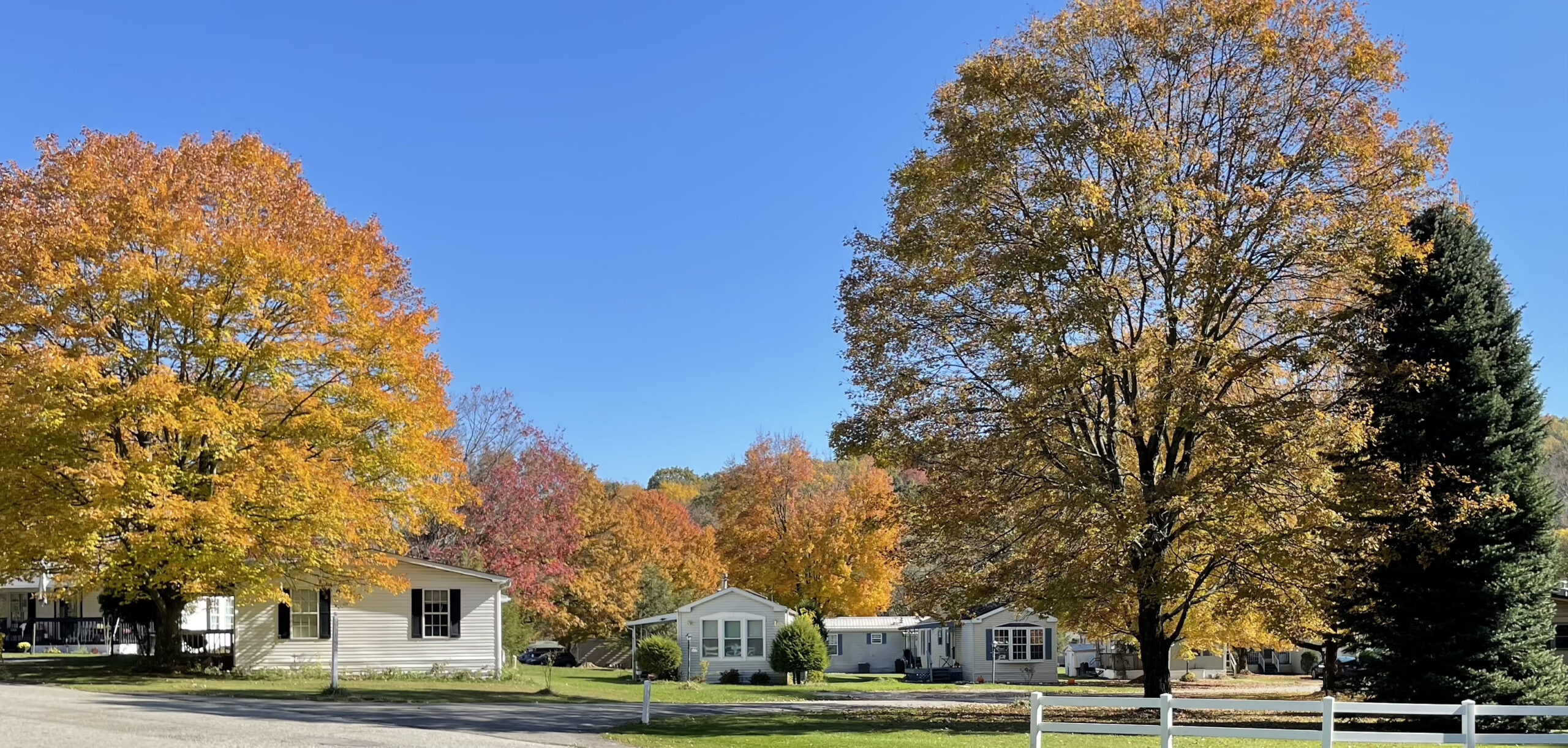 tree-lined streets in a mobile home community