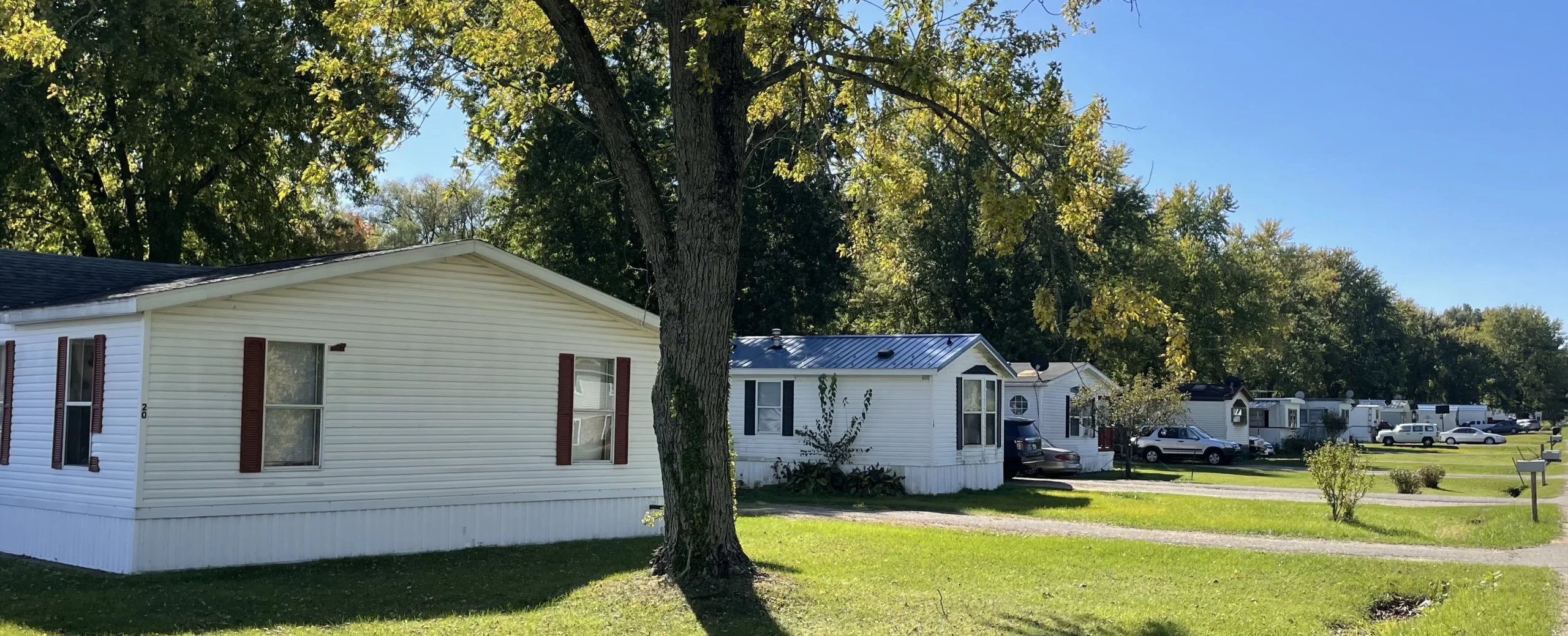 A row of homes in a mobile home community in the summer.